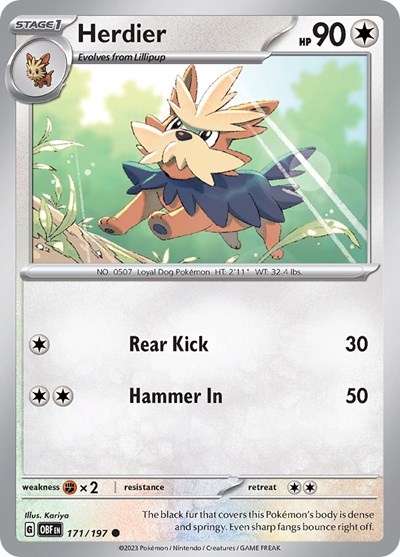 Herdier #171/197