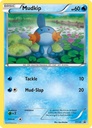 Mudkip #XY38