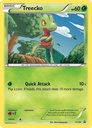 Treecko #XY36