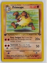 Primeape #43/64