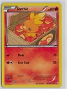Torchic #5/25