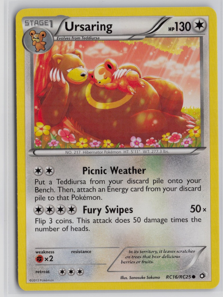Ursaring #16/25