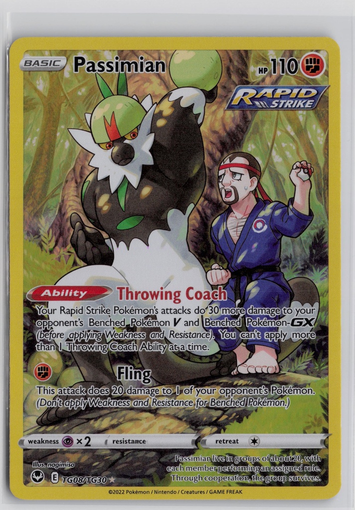 Passimian #TG08/TG30