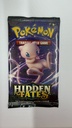 Hidden Fates Booster