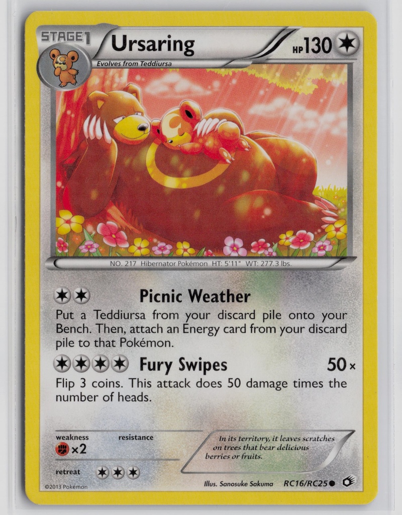 Ursaring #16/25