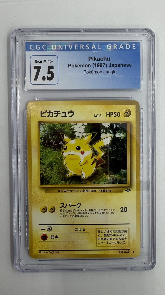 Pikachu #024
