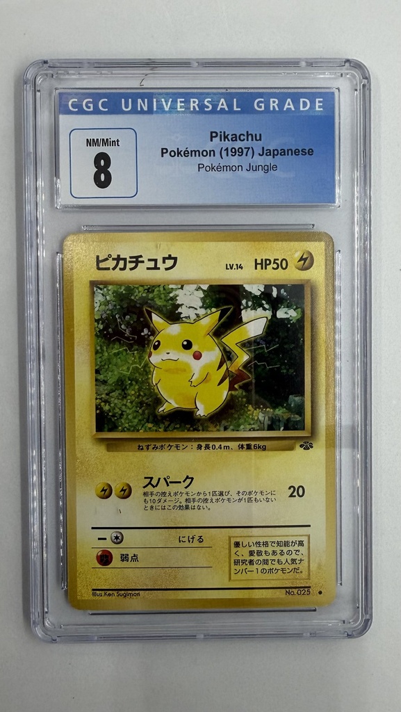 Pikachu #024