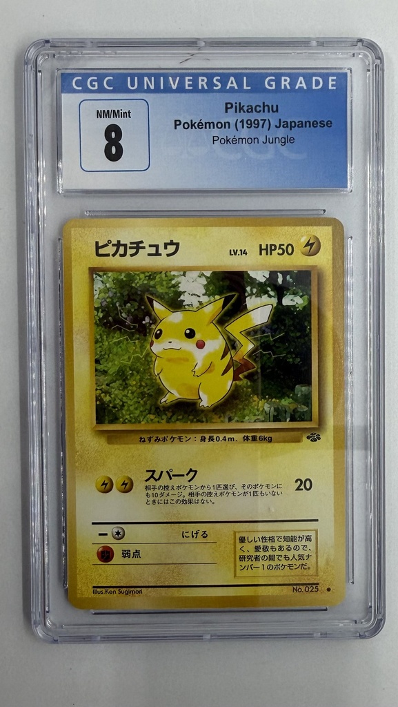 Pikachu #024