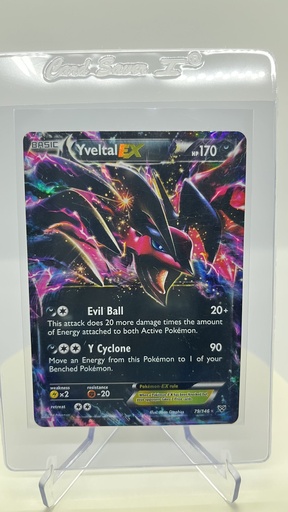 Yveltal EX #79/146